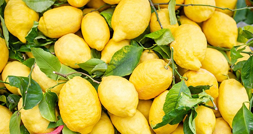 Limon ihracatında ön izin şartı kaldırıldı