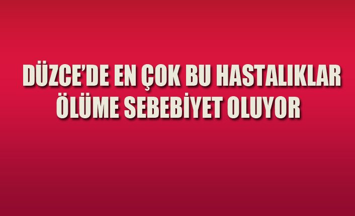 Düzceliler daha çok dolaşım sistemi hastalıklarından ölüyor