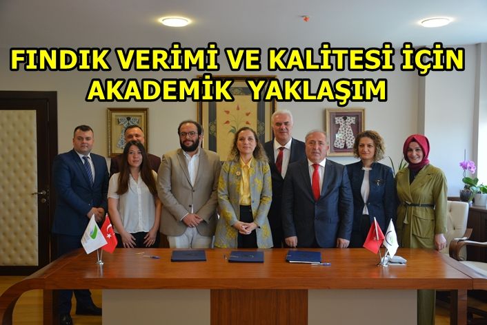 HER ŞEY FINDIK İÇİN
