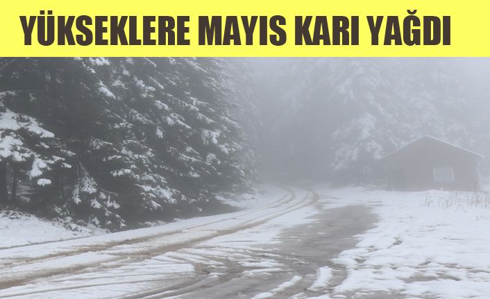 Yüksek kesimlere kar yağdı