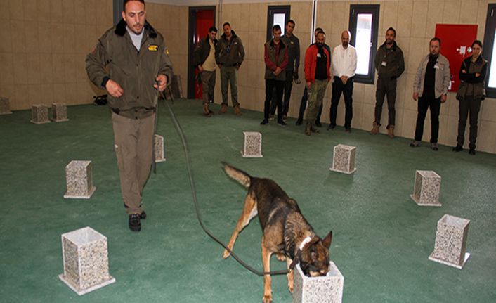 İstanbul Havalimanı'nda apron güvenliği özel köpeklere emanet
