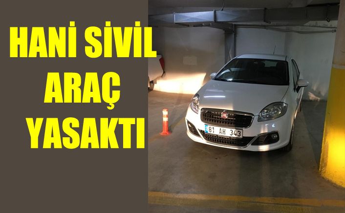Günün şanslı arabası
