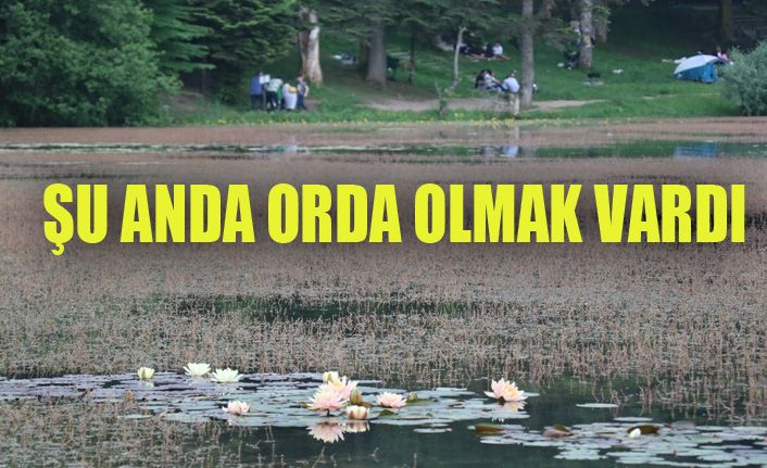 Bayram tatilinde Gölcük Tabiat Parkı’nda insan seli yaşandı