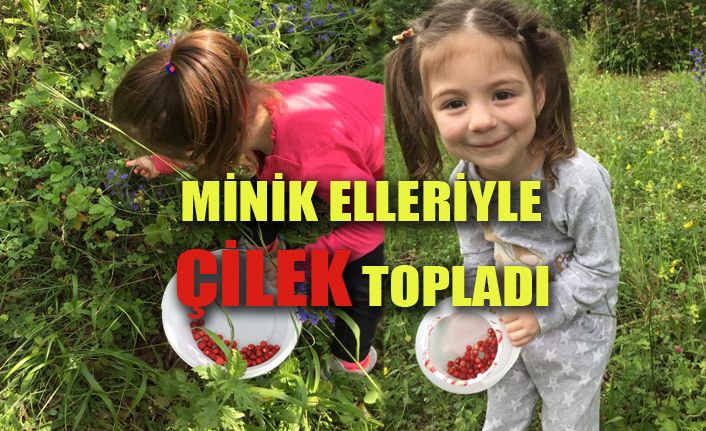 Doğasever tatilcilerin vaz geçilmezi