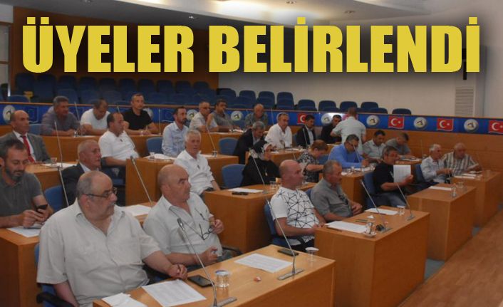 Kent Konseyi Üyeleri Belirlendi