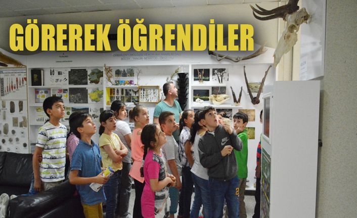 İlkokul öğrencileri Orman Fakültesini ziyaret etti