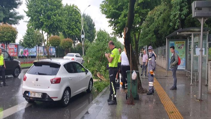 Sakarya’da şiddetli yağış esnasında ağaç aracın üzerine devrildi