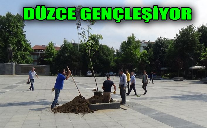 Düzce’de yenilenme devam ediyor