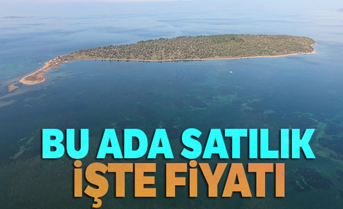 105 milyon liraya satılık ada