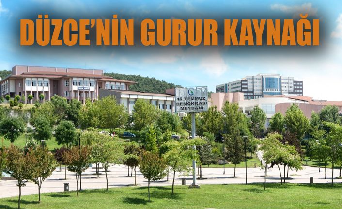 Düzce Üniversitesi ilk 50 içinde