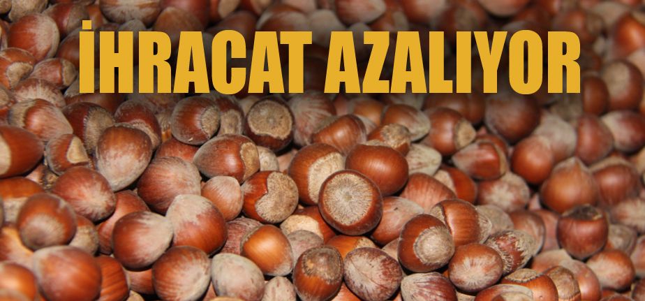 Düzce’den Avrupa’ya beş ayda 3 bin 758 ton iç fındık ihraç edildi