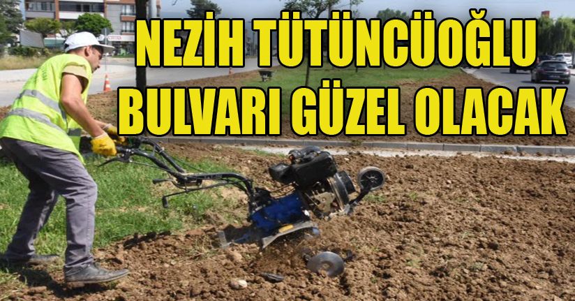 Yeni Kavşakta Peyzaj Çalışması