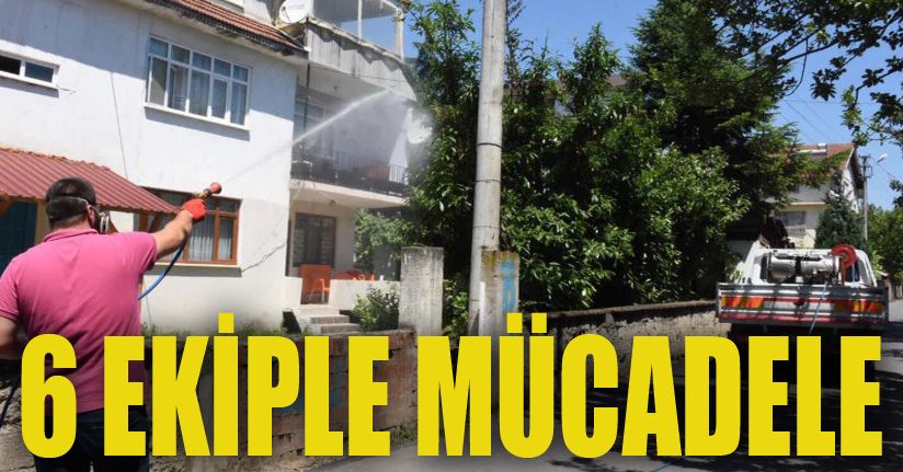 Amerikan Beyaz Kelebeğine Geçit Yok