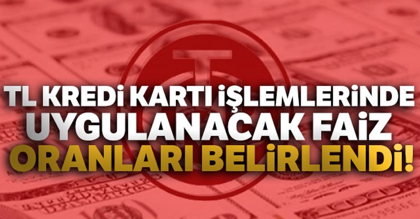 TL kredi kartı işlemlerinde uygulanacak faiz oranları belirlendi