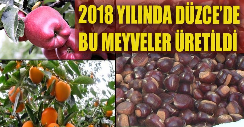 Düzce’de fındıktan sonra en çok kestane üretildi