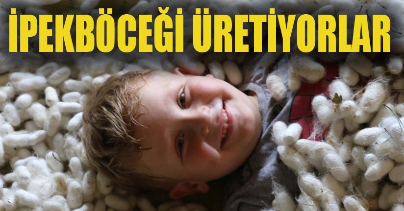 İpekböceği yetiştiren 50 haneli köy yılda 5 tonluk üretim yapıyor