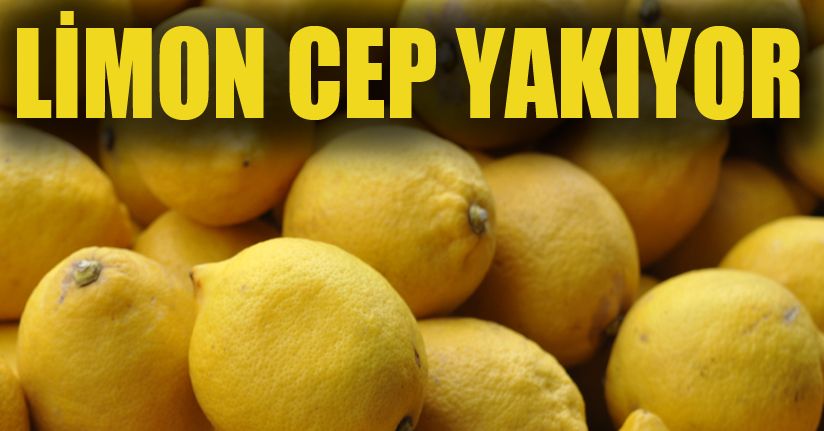 Pazarda limon zam şampiyonluğunu yakaladı