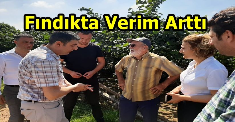 Fındık Çalıştayı Meyvelerini Vermeye Başladı