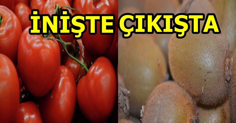 Zam Şampiyonu Kivi Oldu