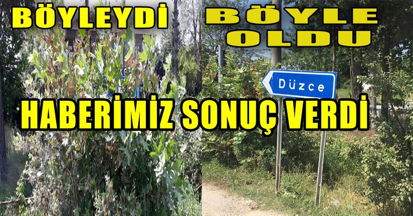 Valilik görülmeyen tabelaya el attı