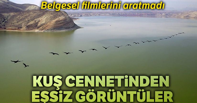 Kuş cennetinden eşsiz görüntüler