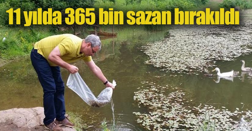 Düzce’de göl ve göletlere 50 bin yavru balık bırakıldı