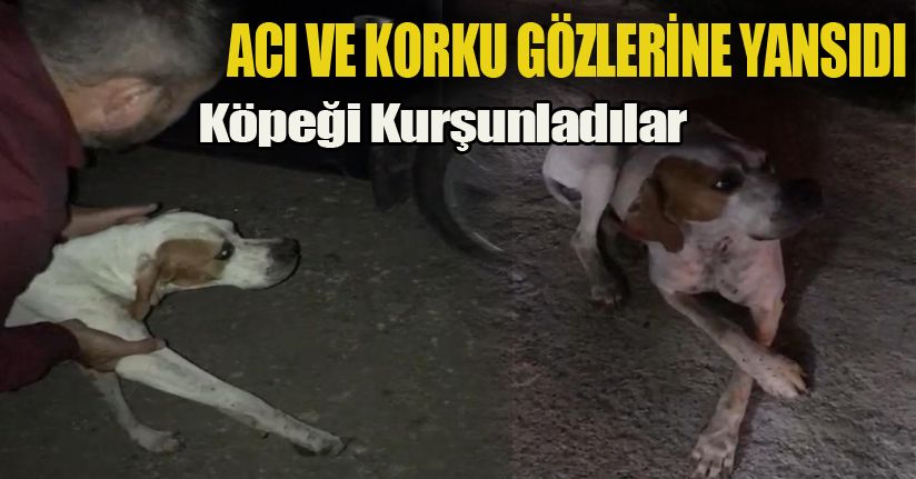 İyi ki Bu Dünyada Güzel İnsanlar Var..