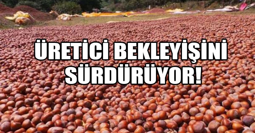 Fındık Para Edecek Mi?