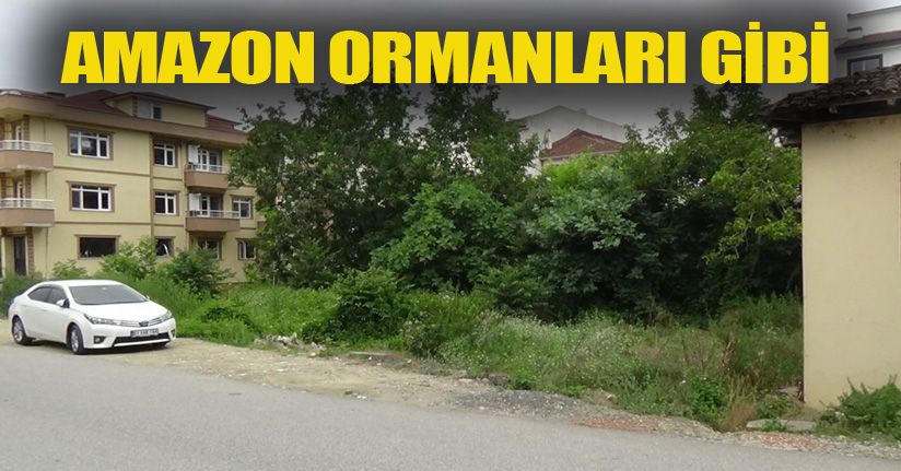 Her Mahallede Bir Kaç Tane Var