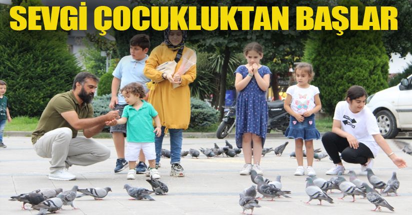 Çocukların güvercin sevgisi