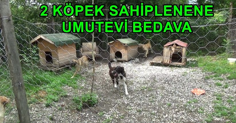 Türkiye ye örnek olacak proje