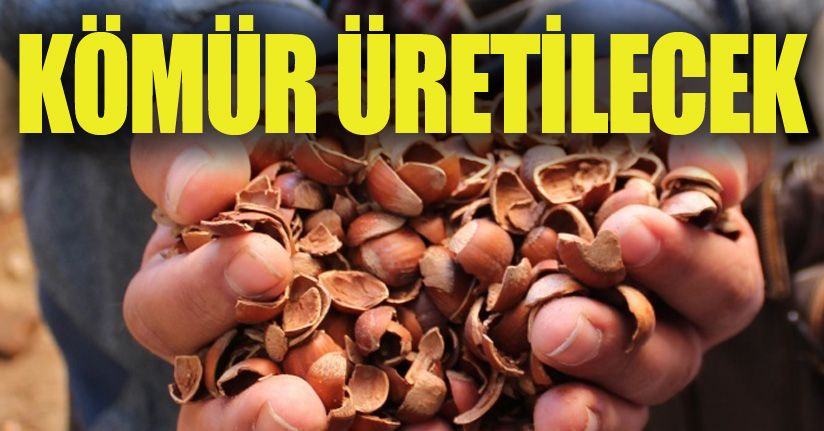 Fındık kabuğundan kömür üretilecek