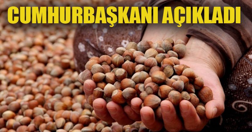 Fındık fiyatı açıklandı