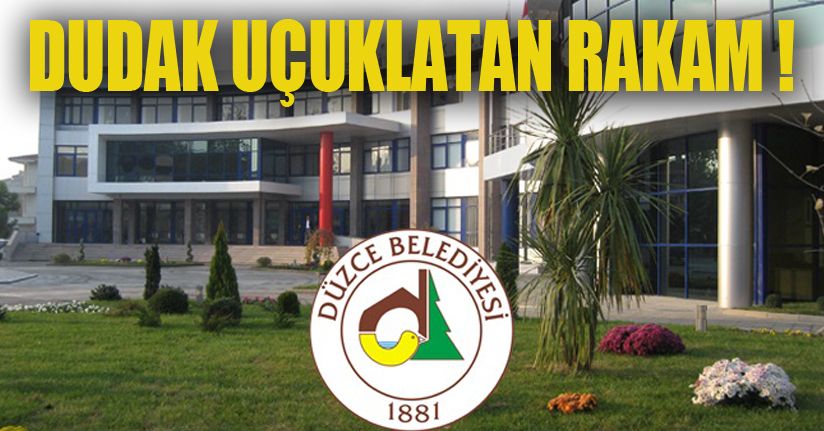 9,5 Milyona Sulama Budama İşleri