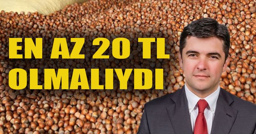 İyi Parti'den Fındık Açıklaması