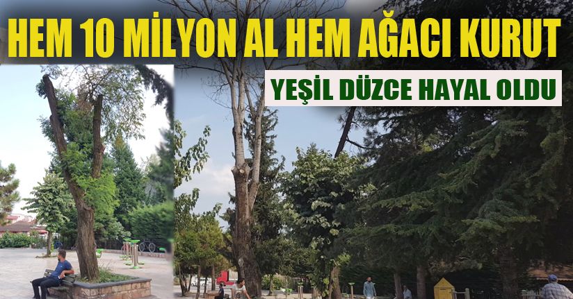 Budama Abartılınca