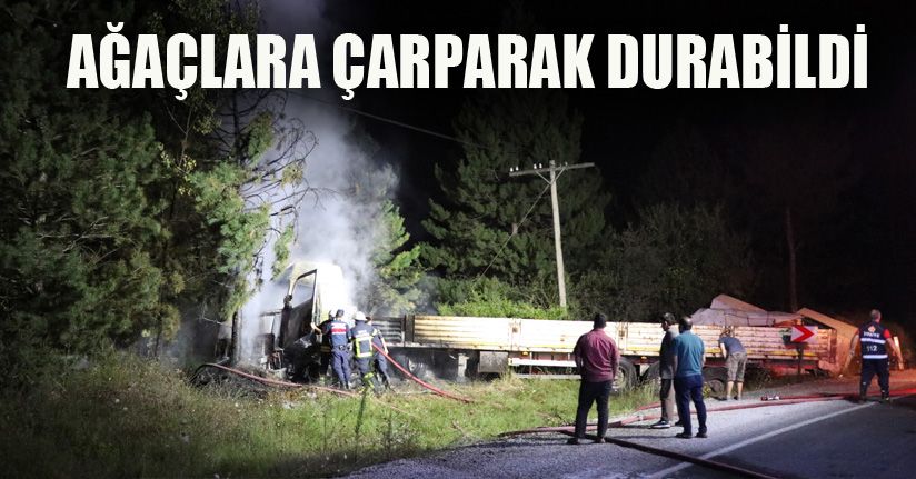 Ormanlık alana uçan tır yanarak kül oldu: 3 yaralı