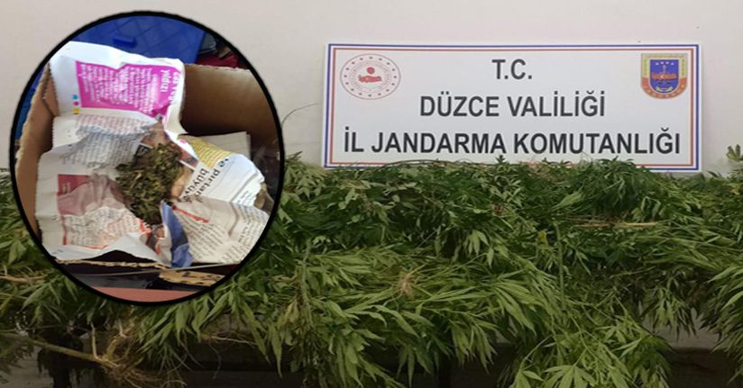 Jandarma'dan zehir tacirlerine geçit yok