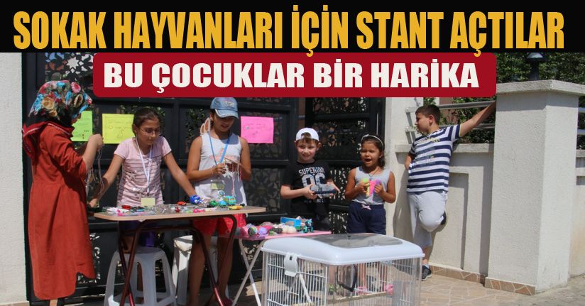 Sokak hayvanları çocukları harekete geçirdi