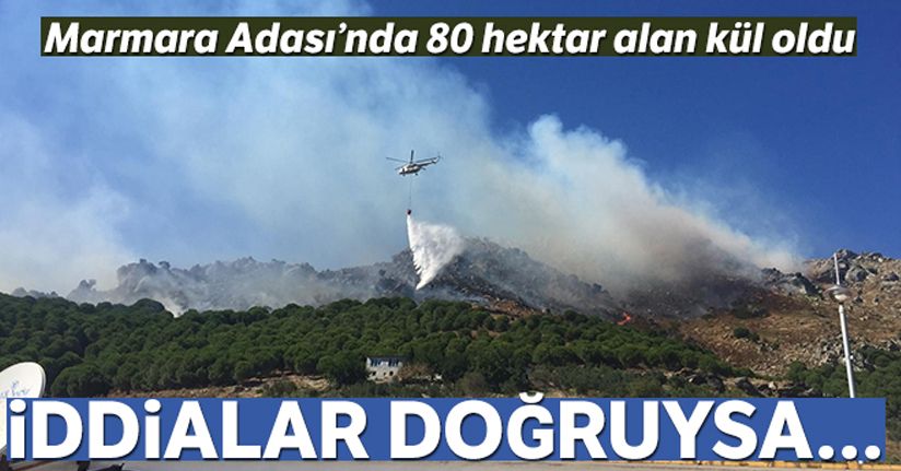 Marmara Adası yangınının ilk bilançosu açıklandı: 80 hektar alan kül oldu