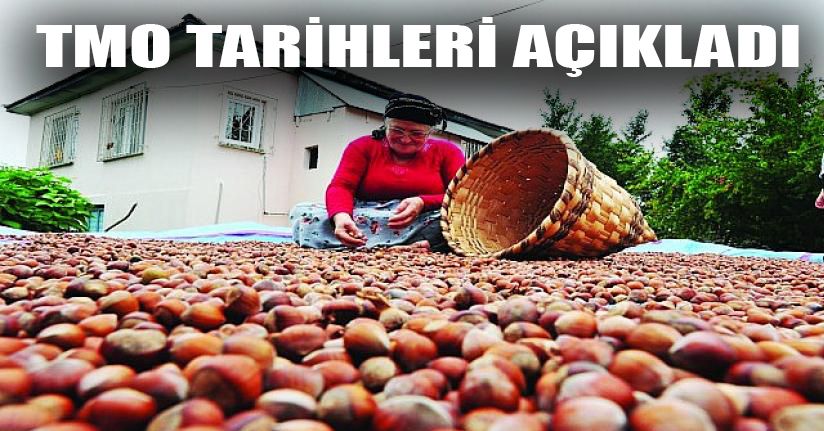 Tmo'dan Fındık Alım Açıklaması