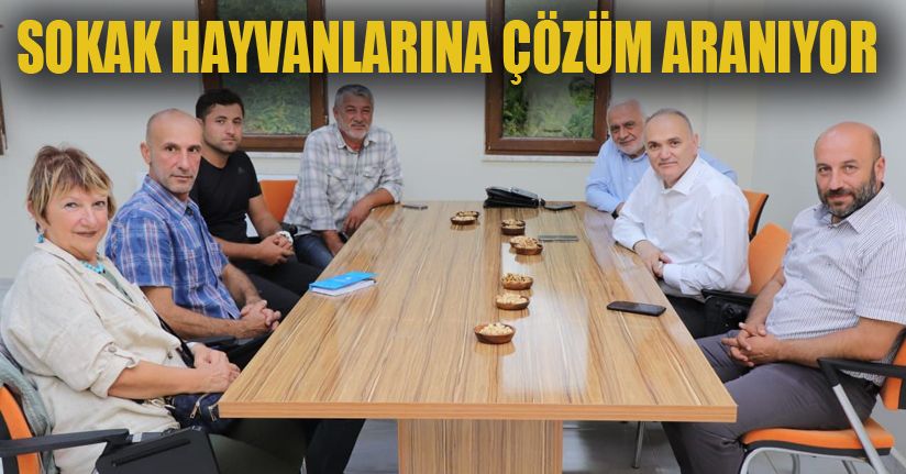 Sokak Hayvanları İçin Toplandılar