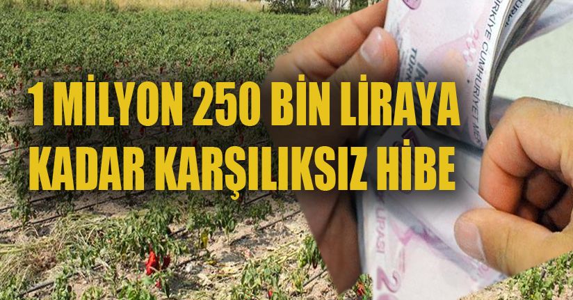 Son tarih 30 Eylül