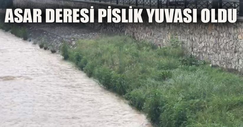 Bu Kadar Mı Zor?