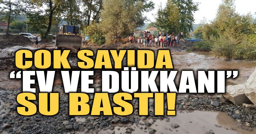 Dipsizgölde sel hayatı olumsuz etkiledi