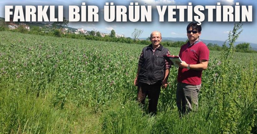 Tarımda 3 Yıl Uyarısı