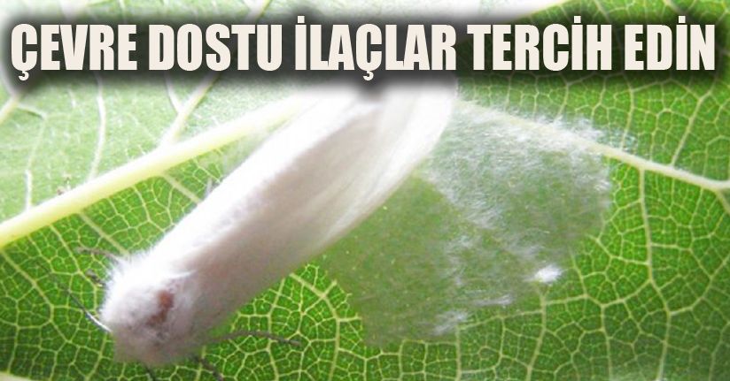 Çevre dostu ilaçlar tercih edin