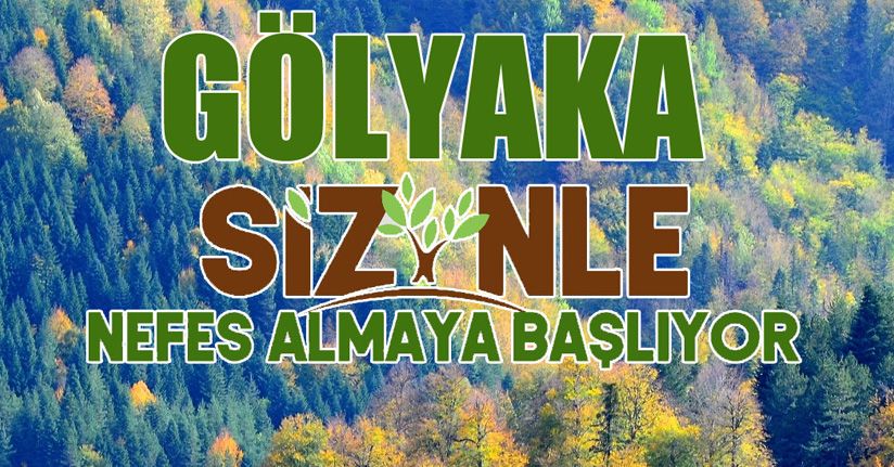 1111 Adet Ihlamur dikilecek!
