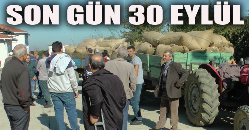TMO Fındık Alım Süresini Uzattı