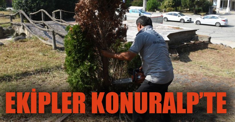 Ali Hamza Parkında Peyzaj Çalışması